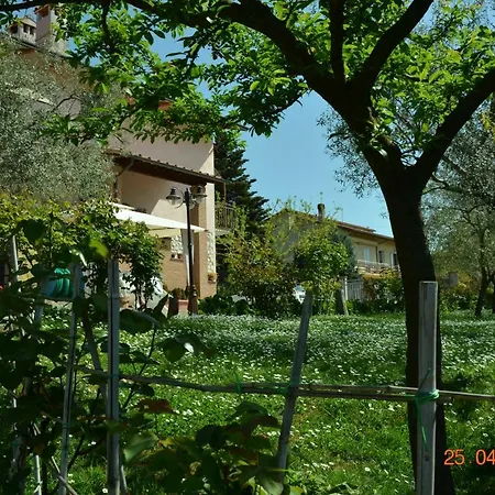 Patrizia Boldrini-3